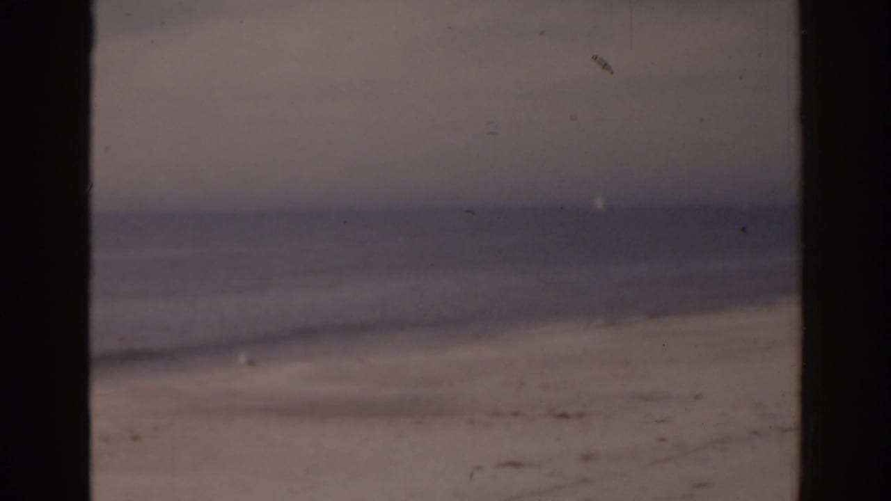 Beachfront buildings beside sand scattered with seagulls.