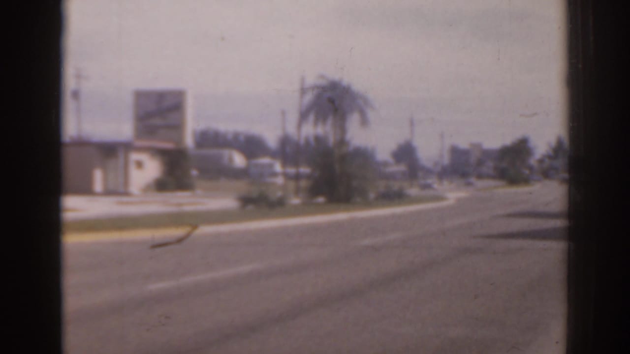 Wide avenue with palm trees, low buildings, and a distant vehicle.