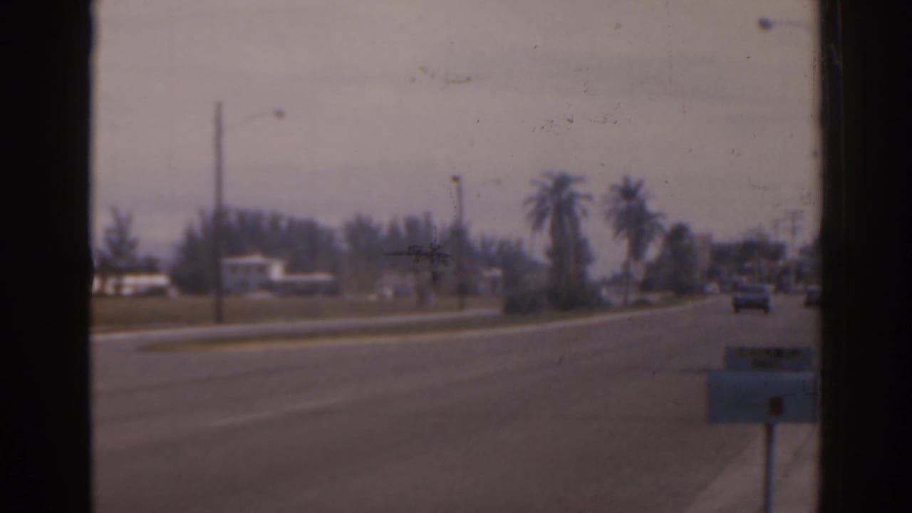 Quiet road with palm trees, utility poles, low buildings, and a dark window or film frame edge.