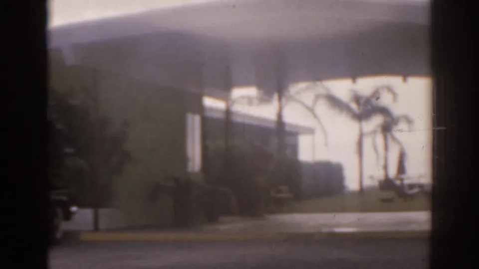 1963 Florida street scene with wet pavement, palm silhouettes, roadside plantings, and a low bright building.