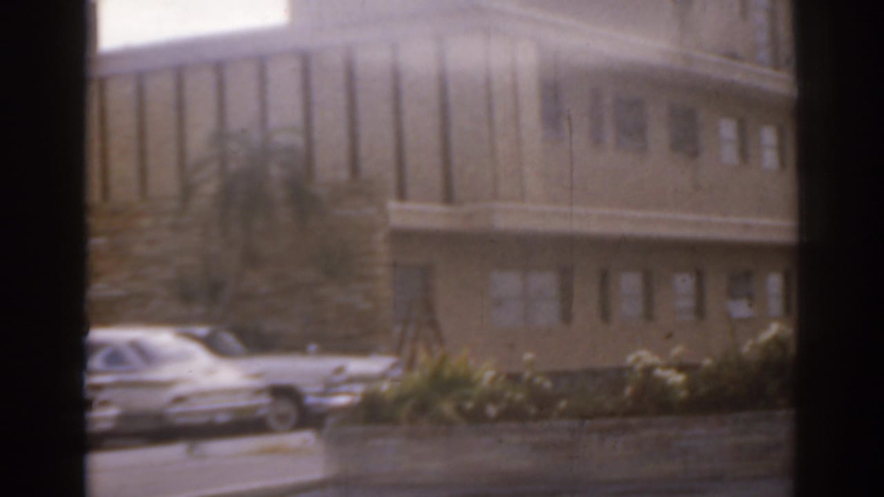 White sedan parked in front of a building with palms and window panels.