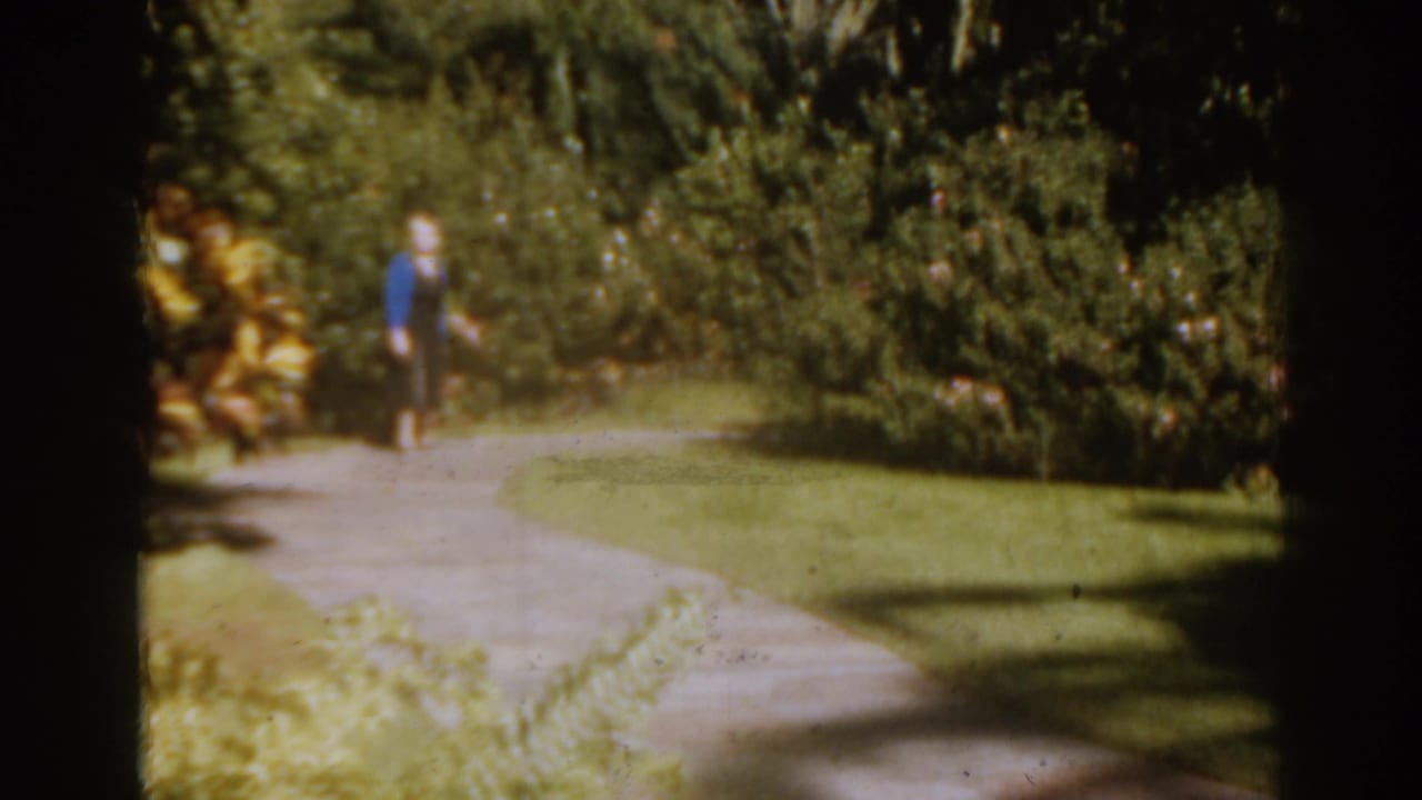 Woman standing farther down a garden path beside shrubs.