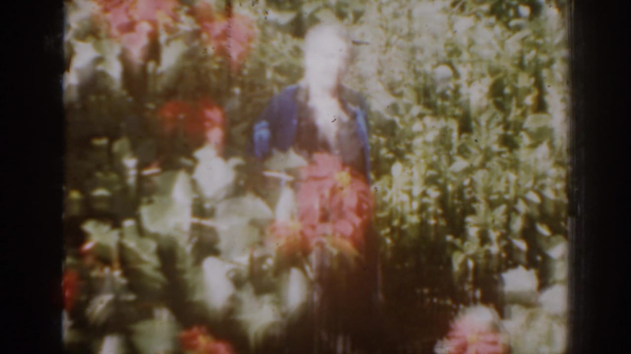 Woman standing among dense garden foliage and pink flowers in soft 8mm footage.