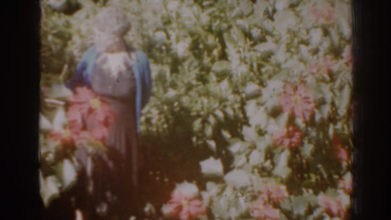 Woman partly obscured by bright flowers and greenery in a garden.