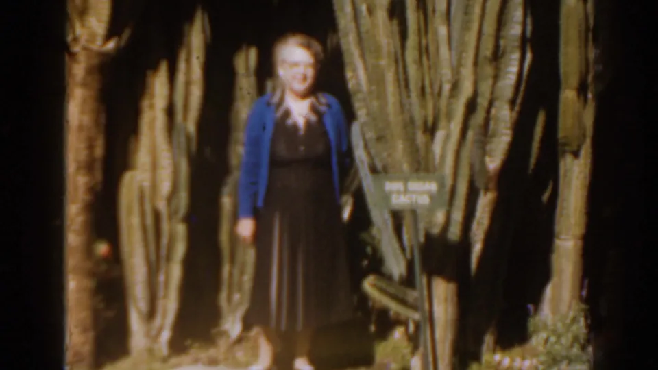 1963 Florida 8mm frame of a woman beside tall cactus trunks with a visible pipe organ cactus identification sign.