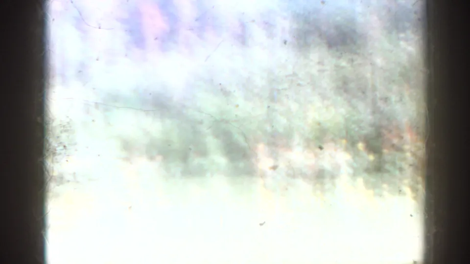 Overexposed 1963 Florida garden frame with pale ground, indistinct foliage, and visible 8mm dust and scratches.