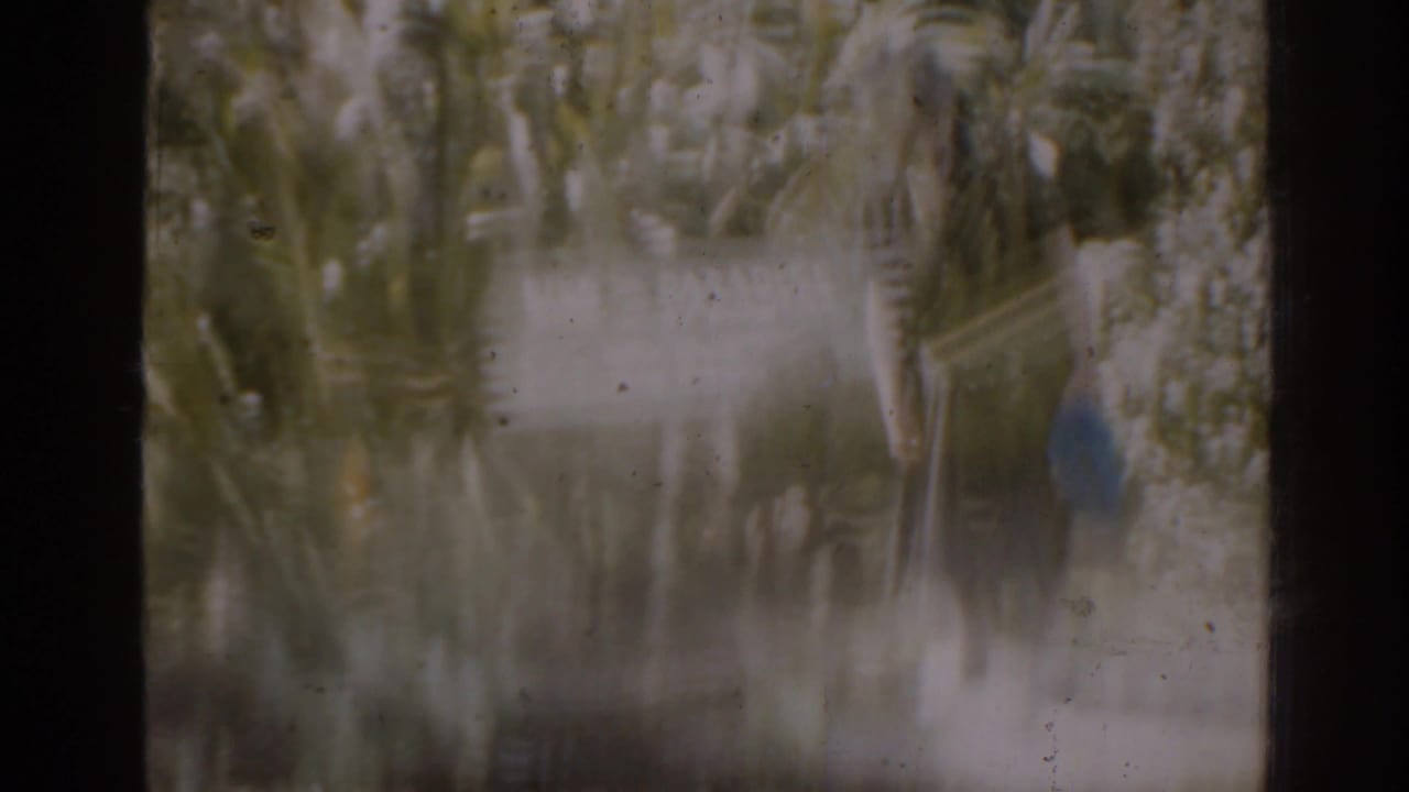 Blurred garden scene with foliage and a faint figure near a walkway.