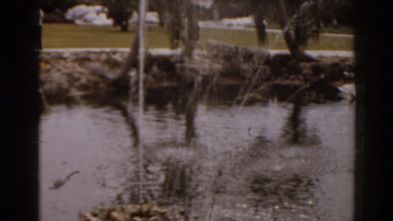 Pond with fountain spray, trees, rocks, lawn, and water reflections.