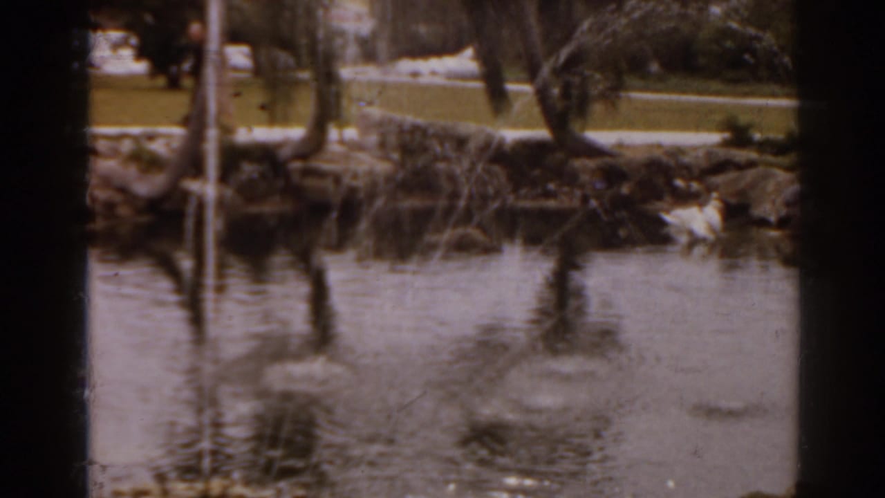 Rock-edged pond with fountain spray, trees, lawn, and a white bird near the shore.