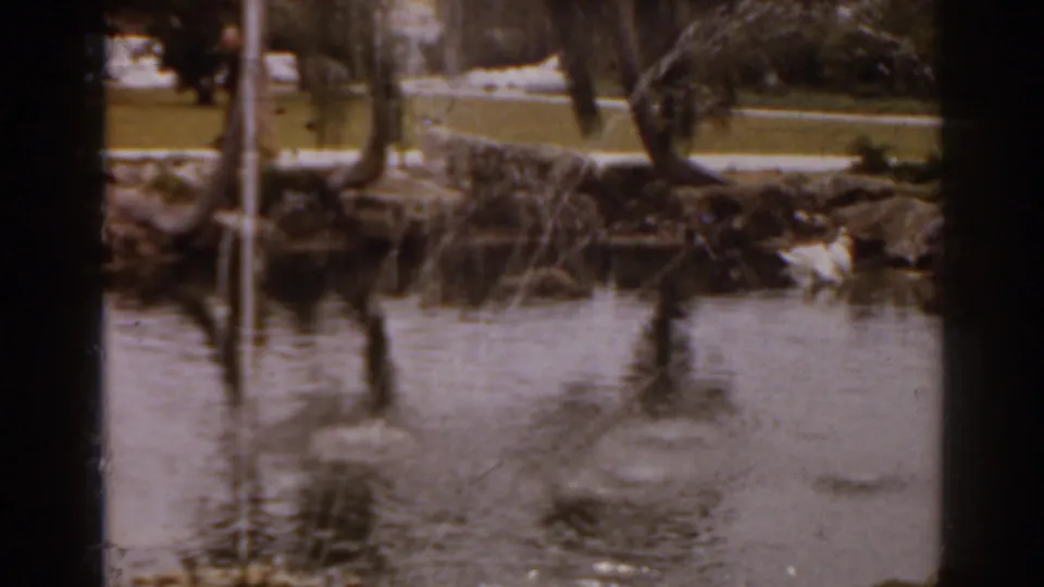 1963 Florida 8mm frame of a rock-edged landscaped pond, fountain spray, trees, lawn, and a white bird near the waterline.