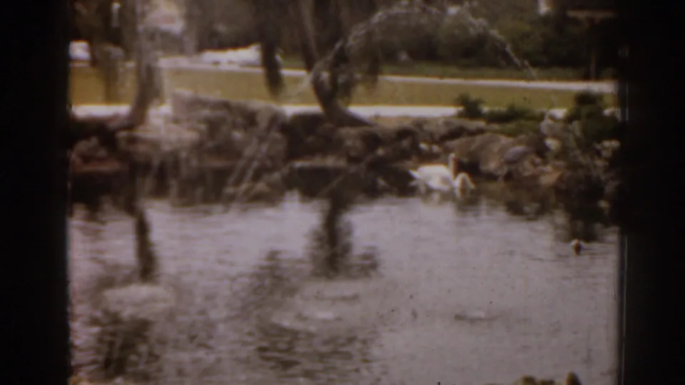 1963 Florida 8mm frame showing fountain spray over a pond, with a rock border, trees, lawn, and a white bird at the right edge.
