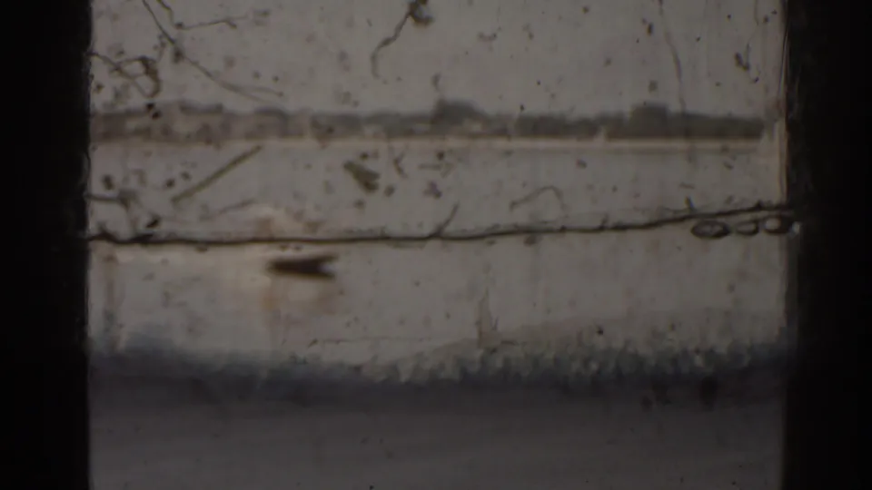 1963 Florida 8mm frame showing a distant motorboat crossing calm lake water through dark window or frame edges.