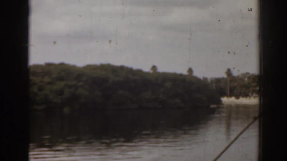 1963 Florida waterfront view of dense shoreline greenery, still water, a small dock or landing, and dark frame edges.