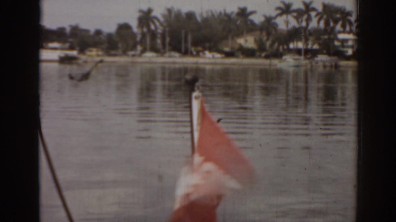 Red flag at a boat bow in front of calm water and a palm-lined shoreline.