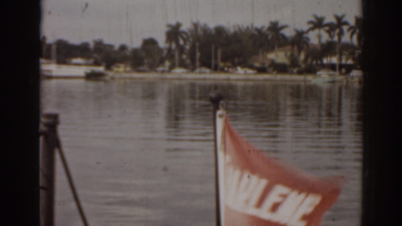 Red flag partly cropped beside calm water and a distant palm-lined shore.
