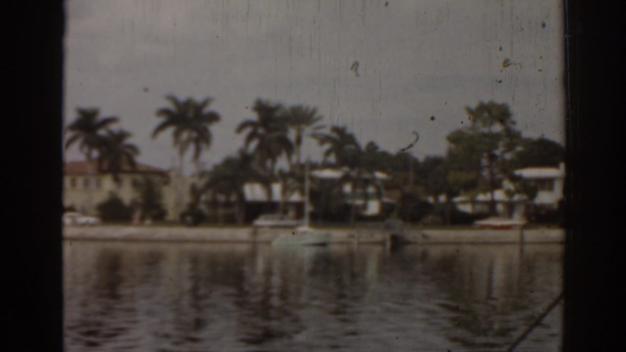 Palm-lined waterfront homes across calm water with a small boat near a dock.