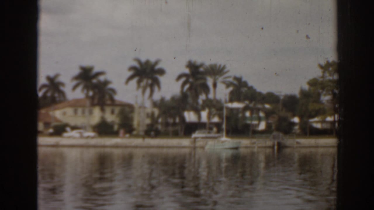 Palm trees and waterfront houses reflected in calm canal or bay water.