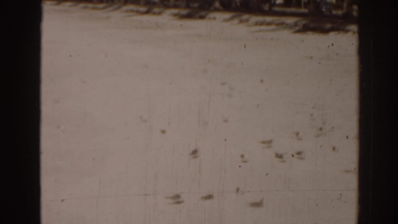 Close view of aged film surface with dust, scratches, pale sky, and dark frame edges.