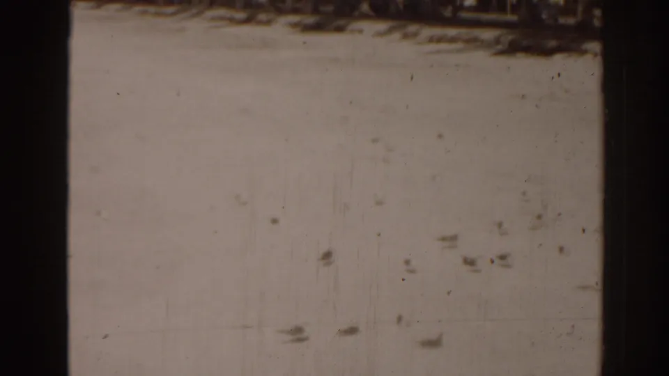 1963 8mm Florida beach footage begins on film texture, with dust, scratches, dark borders, and faint birds or marks against a pale sky.