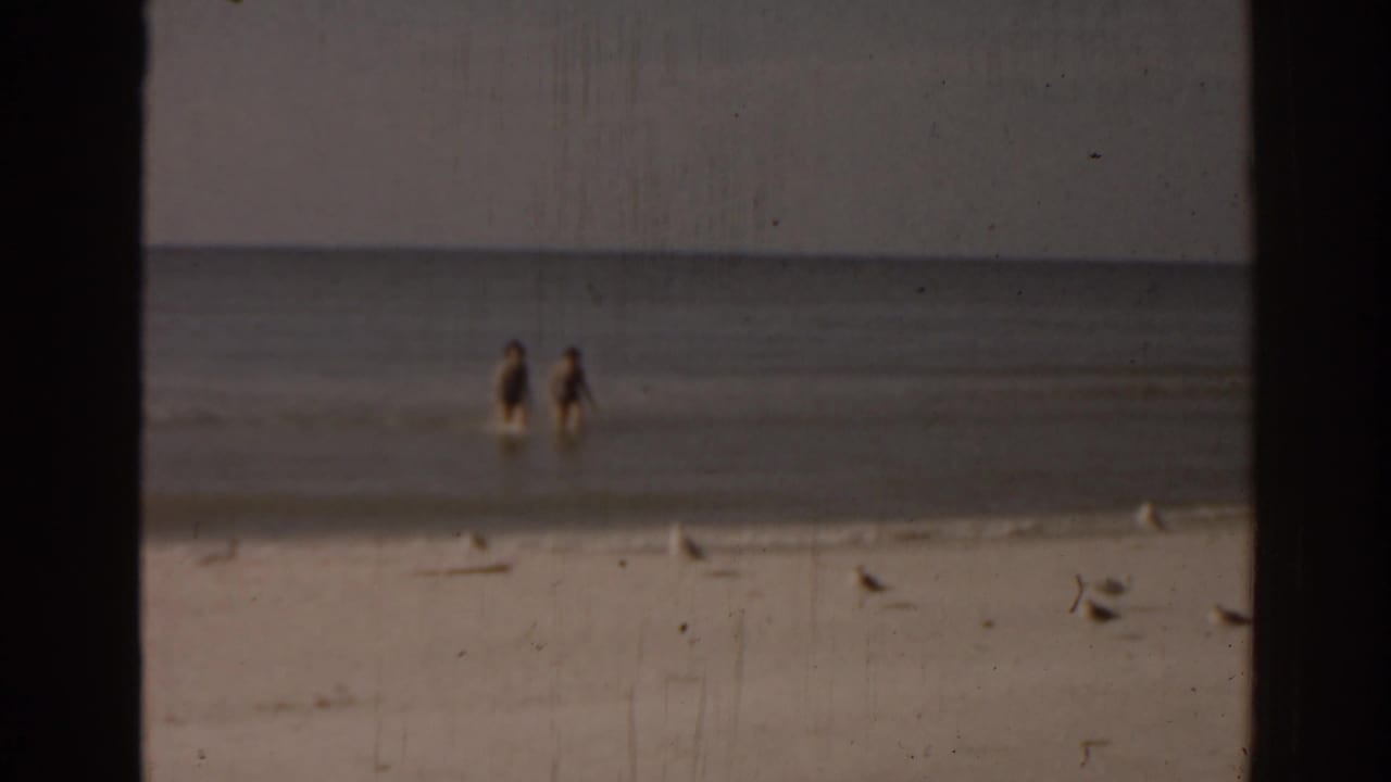 Two distant people wade in shallow ocean water while seagulls stand on the sand.