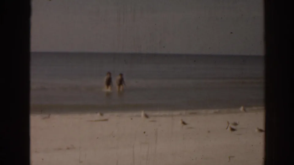 1963 Florida beach scene with two distant wading figures in calm ocean water and several seagulls resting near the shoreline.