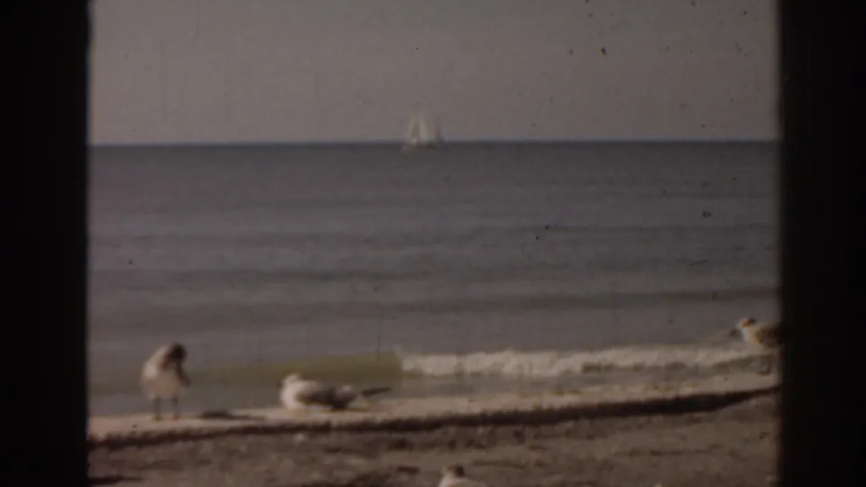 1963 Florida beach view with foreground seagulls, gentle surf, open water, and a small distant sailboat under a hazy sky.