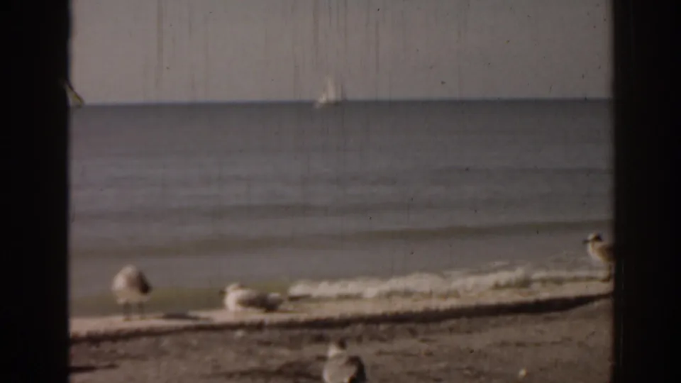 1963 Florida 8mm frame showing seagulls on sand, calm sea, a distant small sailboat, and dark window-frame edges.