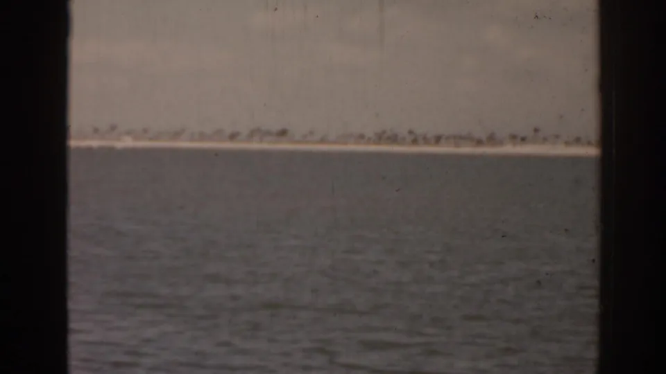 1963 Florida lake view with rippled water, low shore, and dark 8mm frame edge dividing the composition.