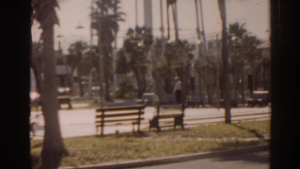 1963 Florida home-movie frame showing a palm-lined park with benches, grass, and distant people.