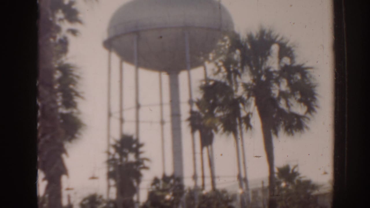 Elevated water tower behind palm trees in a sunlit outdoor setting.
