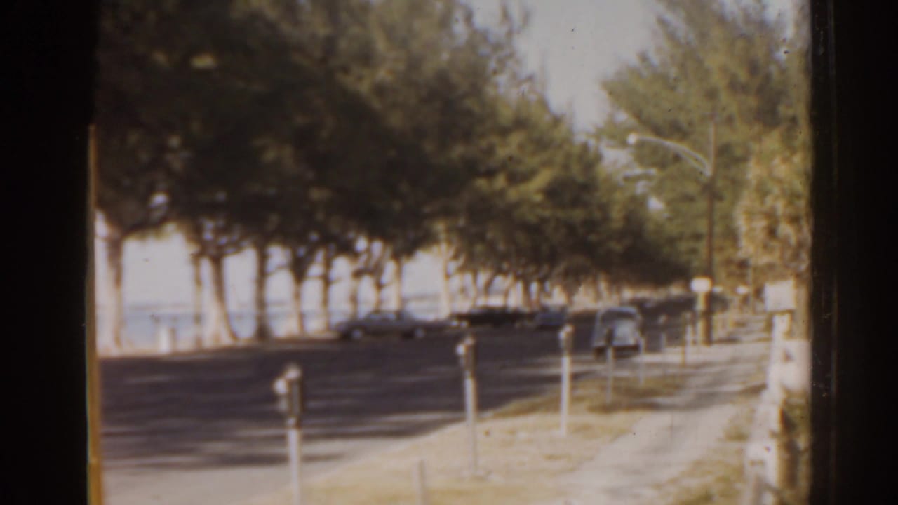 Tree-lined waterfront road with parked cars, sidewalk, and parking meters.