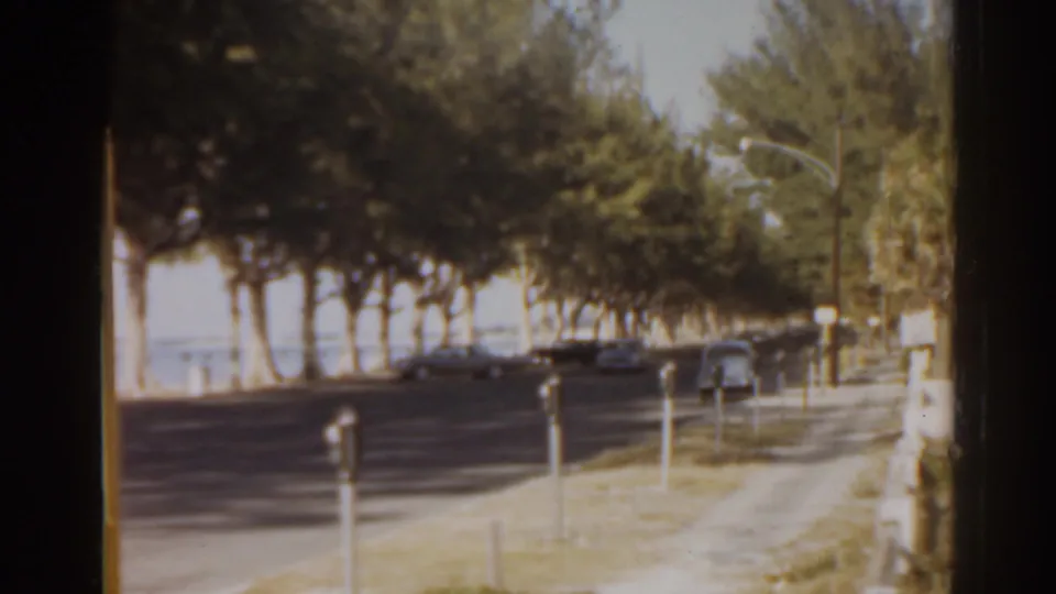 A 1963 Florida coastal roadside view with trees, parked cars, parking meters, and bright water beyond the street.