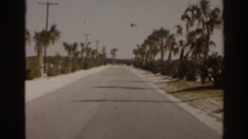 1963 Florida home-movie view down a sunlit palm-lined road with sidewalks, poles, and planted roadside edges.