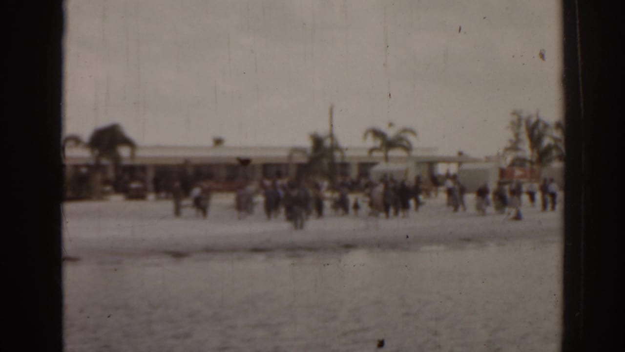 Distant beach or waterfront crowd with low buildings, palms, shoreline, and water in the foreground.