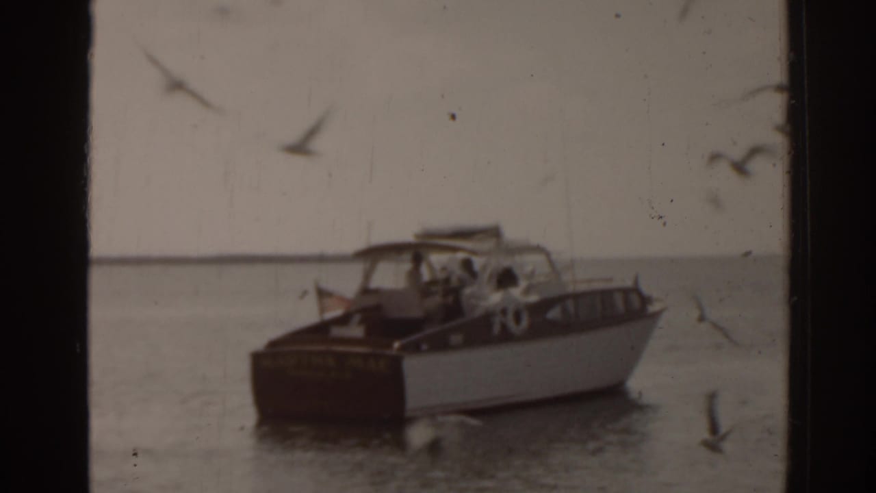 Small motorboat on calm water with birds flying nearby.