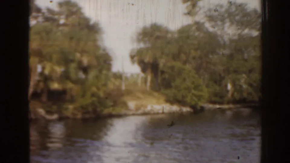 1963 Florida home-movie frame showing dense riverside trees, a low bank, and gently rippled water in warm faded color.