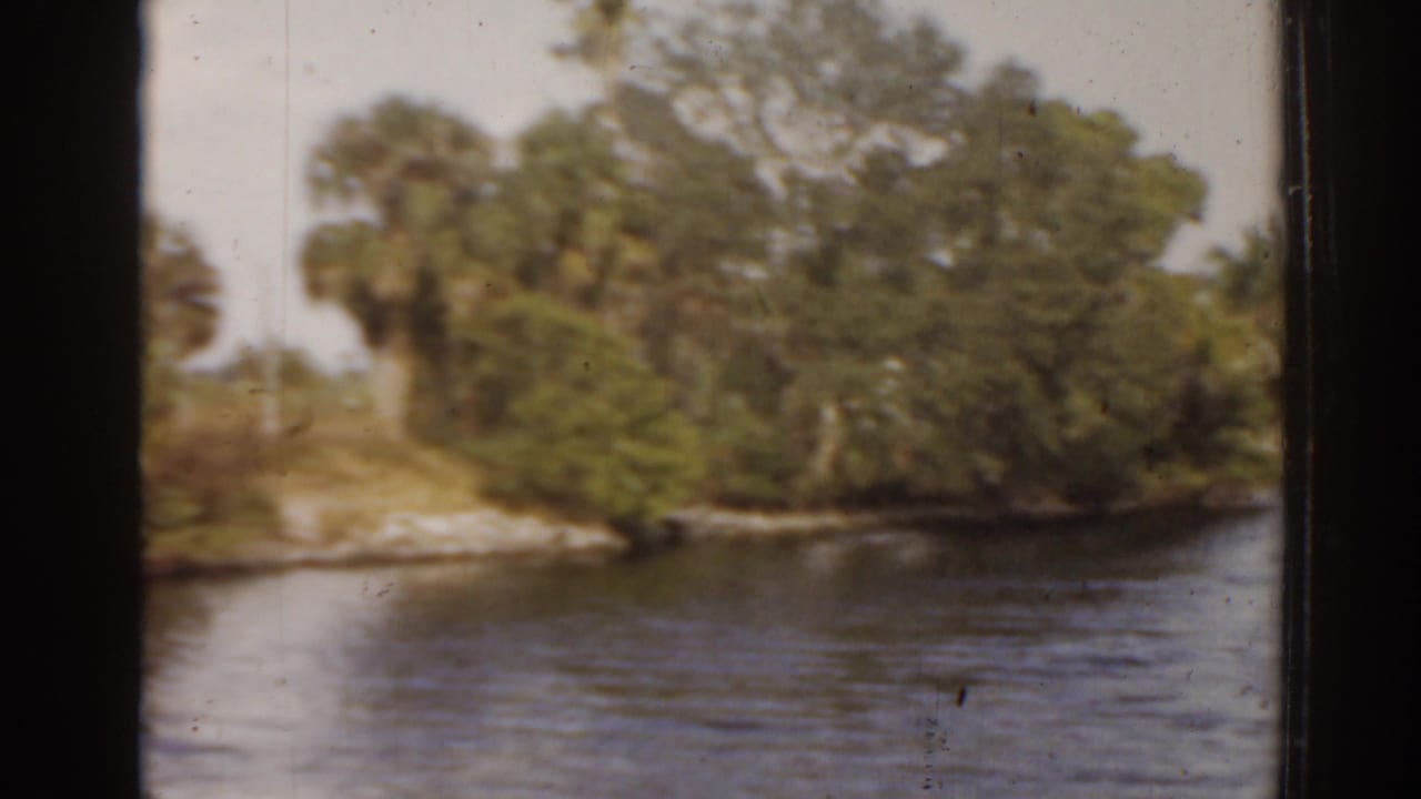 Tree-lined waterway with a low shoreline seen from across the river.