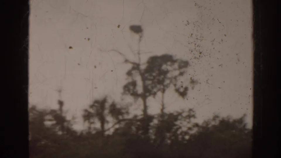 1963 Florida 8mm frame looking past a dark window mullion toward water, distant shore, and silhouetted trees.