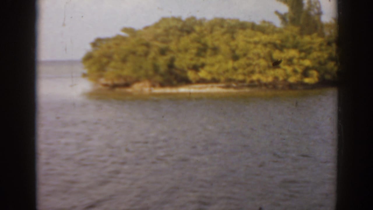 Small green island shoreline seen across rippling water from a moving boat.
