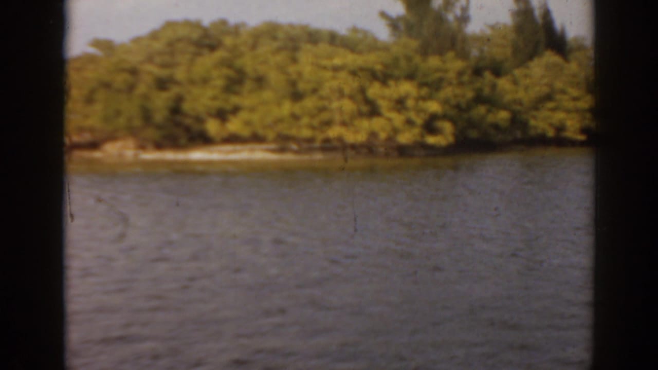 Foliage-covered island beside calm water with dark vertical film borders.