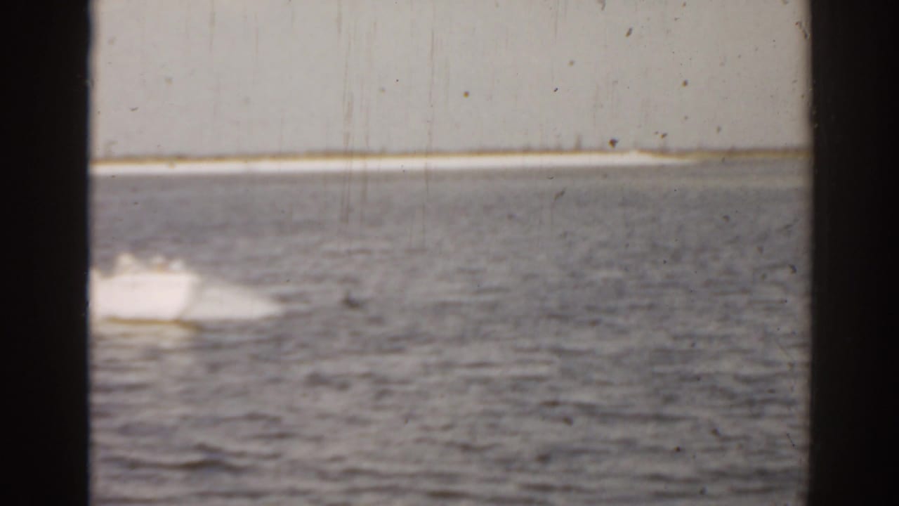 Small motorboat crossing open water with a distant shoreline behind it.