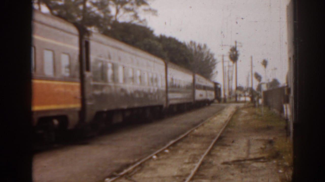 Passenger train cars beside tracks with palm trees and buildings in the distance.