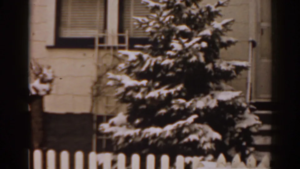 1963 Florida residential scene with snow on an evergreen tree, a white picket fence, window shutters, and a house exterior.