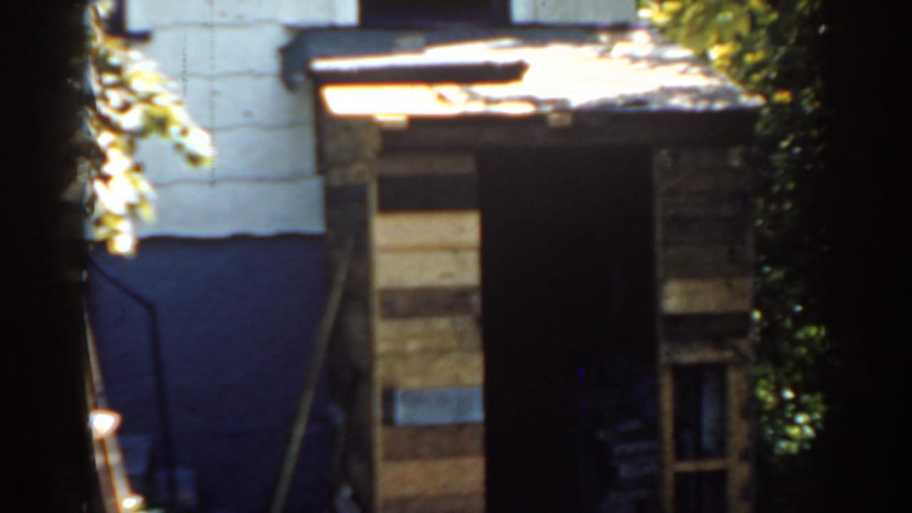 Weathered backyard shed with plank siding, dark doorway, foliage, and painted wall behind it.