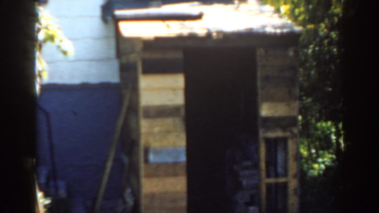 Weathered backyard shed beside a white and blue house wall in leafy sunlight.
