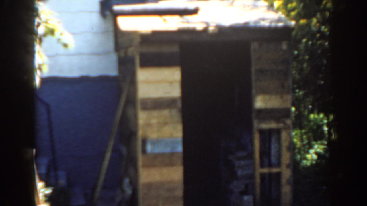 Backyard shed with dark doorway, painted siding, and trees around it.
