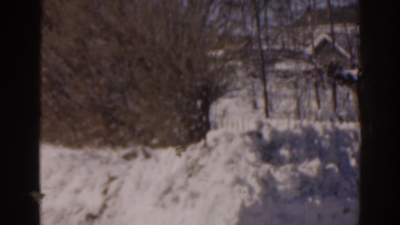 Snowbanks outside a residential window with bare trees and house exteriors beyond.