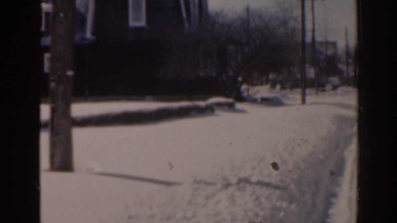 Snowy street edge with a utility pole, bare trees, and distant houses.