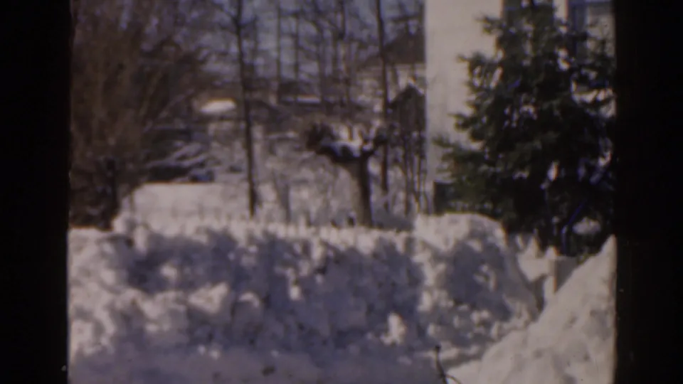 1963 Florida home-movie view of snowbanks around yard shrubs, bare trees, an evergreen, and distant residential buildings.
