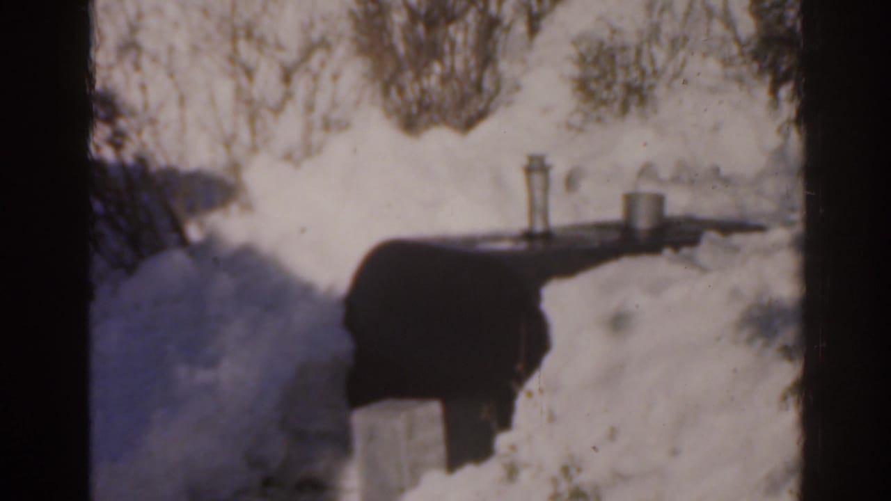 Snowy outdoor area with a dark object, small platform, metal container, and bare bushes.